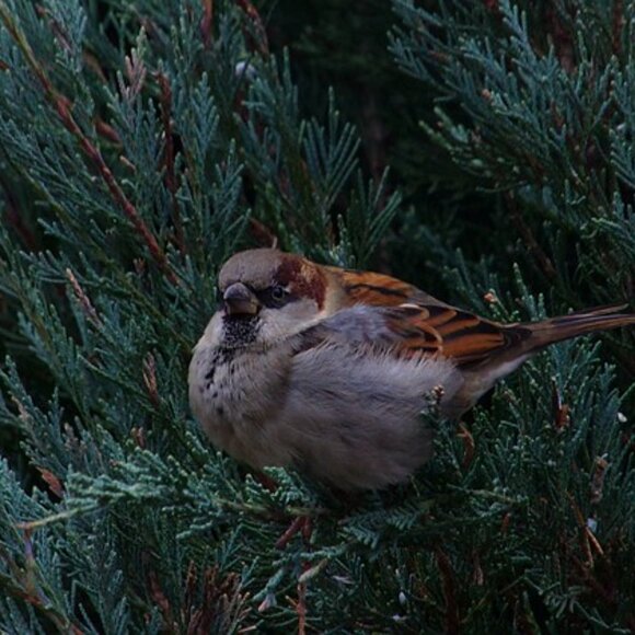 Kodak PIXPRO AZ501 Digital Camera 50x TESTED WORKING Battery Strap & Case - Picture 8 of 8